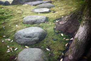 stepping stones